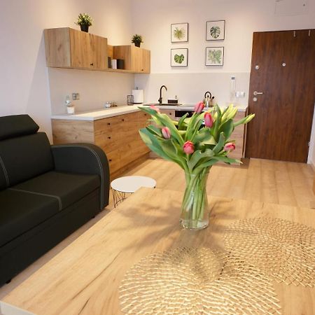 Apartament Na Piernikowym Z Miejscem Postojowym Stary Toruń エクステリア 写真