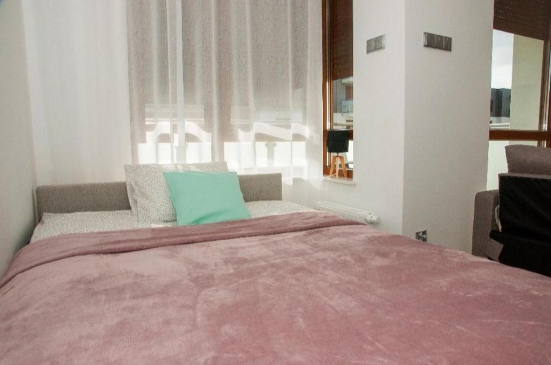 Apartament Na Piernikowym Z Miejscem Postojowym Stary Toruń エクステリア 写真